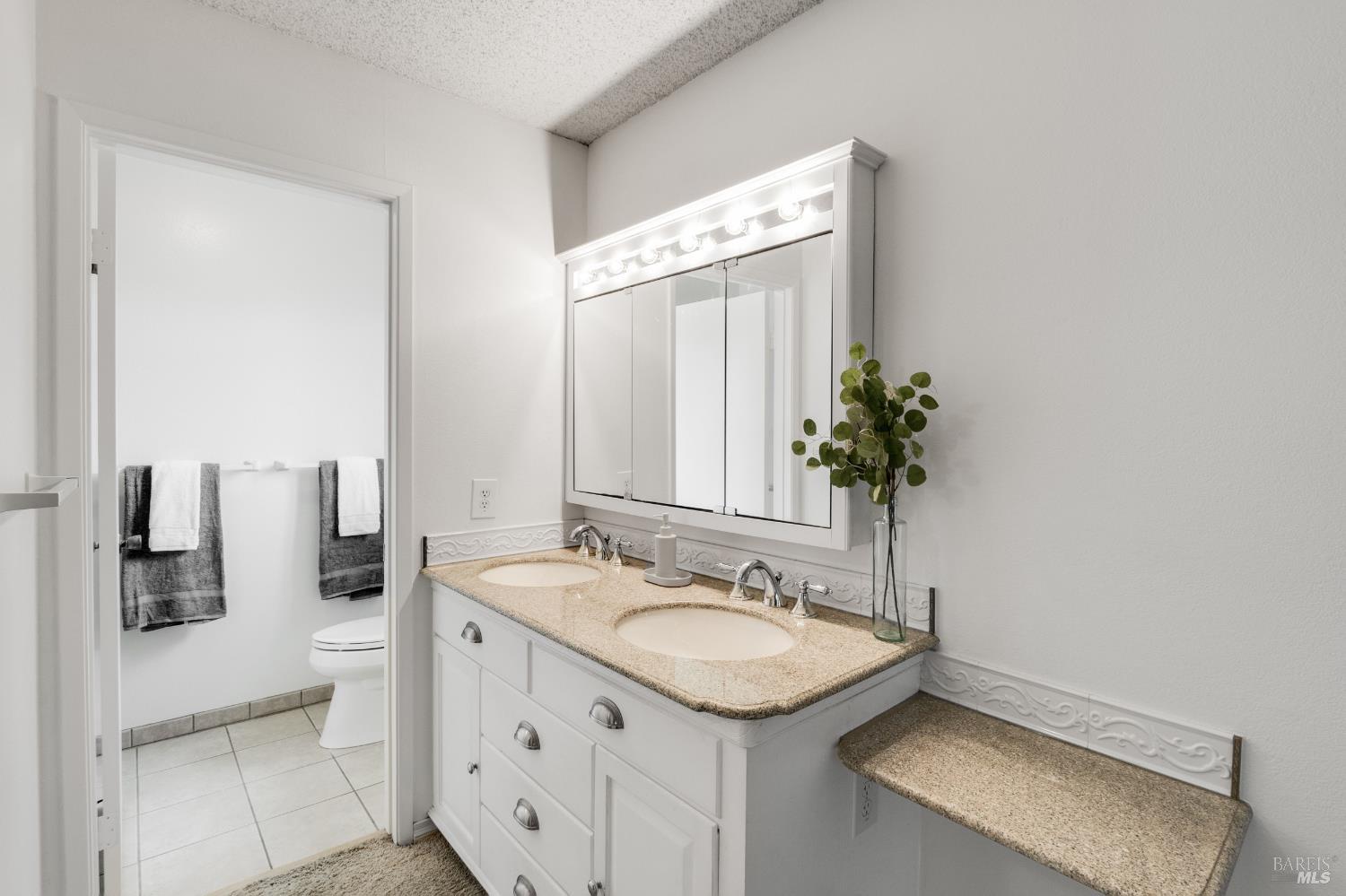 1018 Woodlark Court Suisun City CA 94585