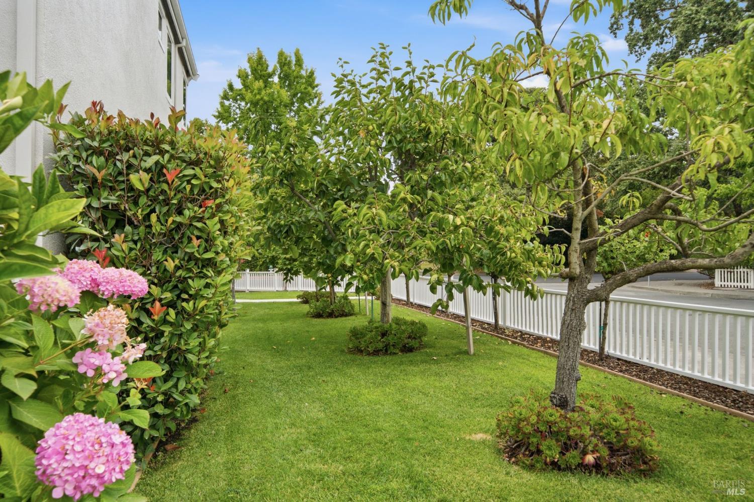 901 Donner Avenue Sonoma CA 95476