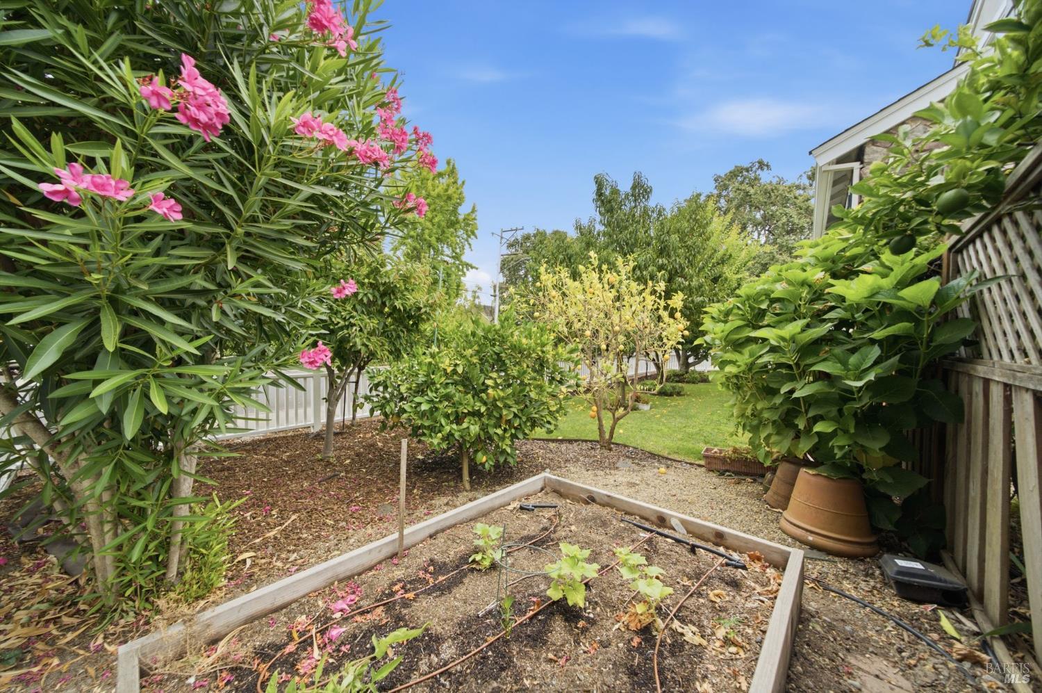 901 Donner Avenue Sonoma CA 95476