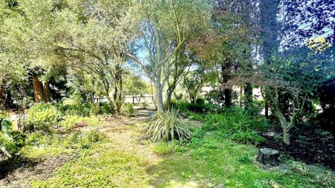 451 W North Street Healdsburg CA 95448