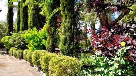 451 W North Street Healdsburg CA 95448