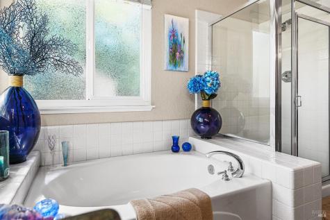 9139 Piccadilly Circle Windsor CA 95492