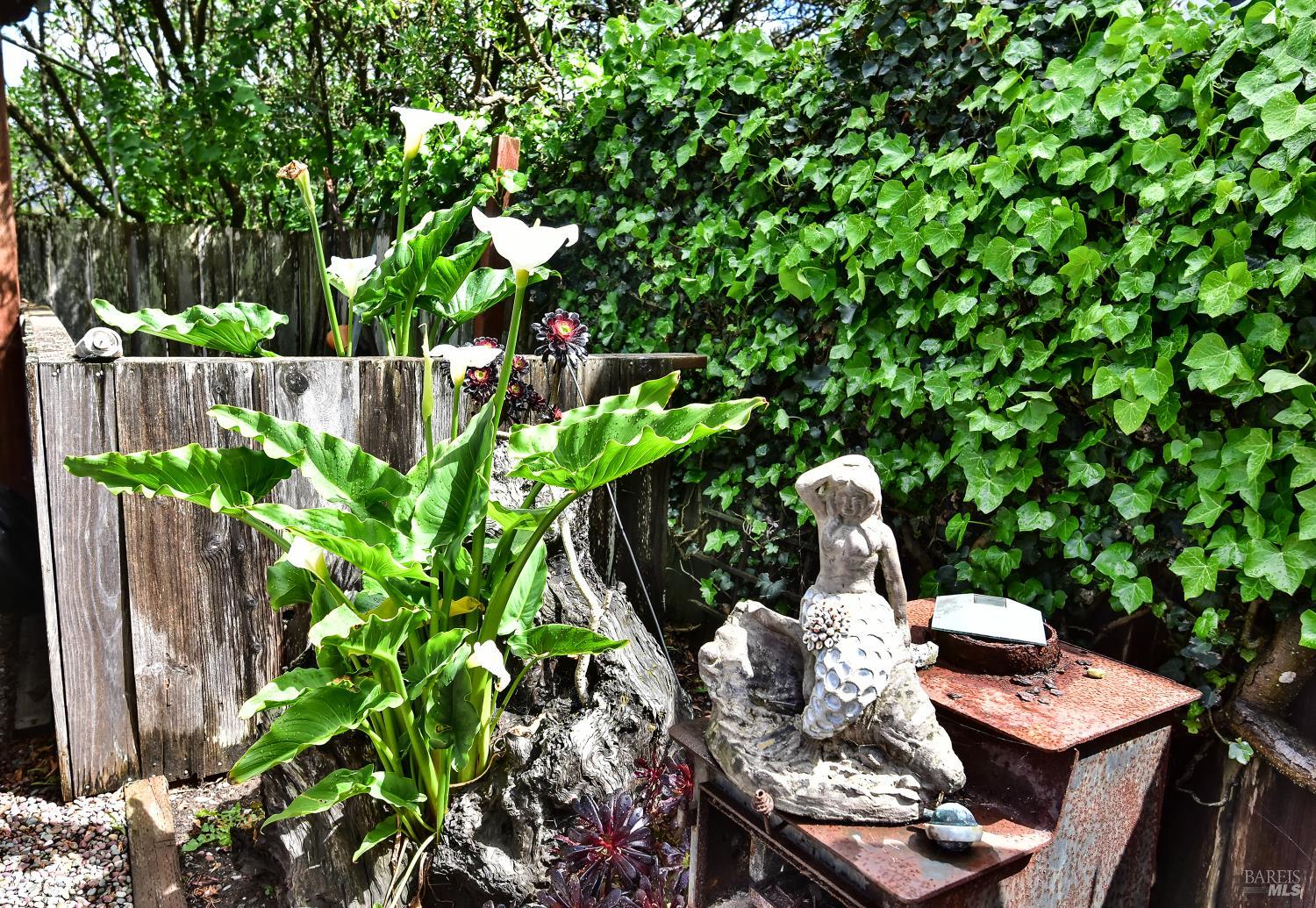 68 Ocean View Avenue Dillon Beach CA 94929