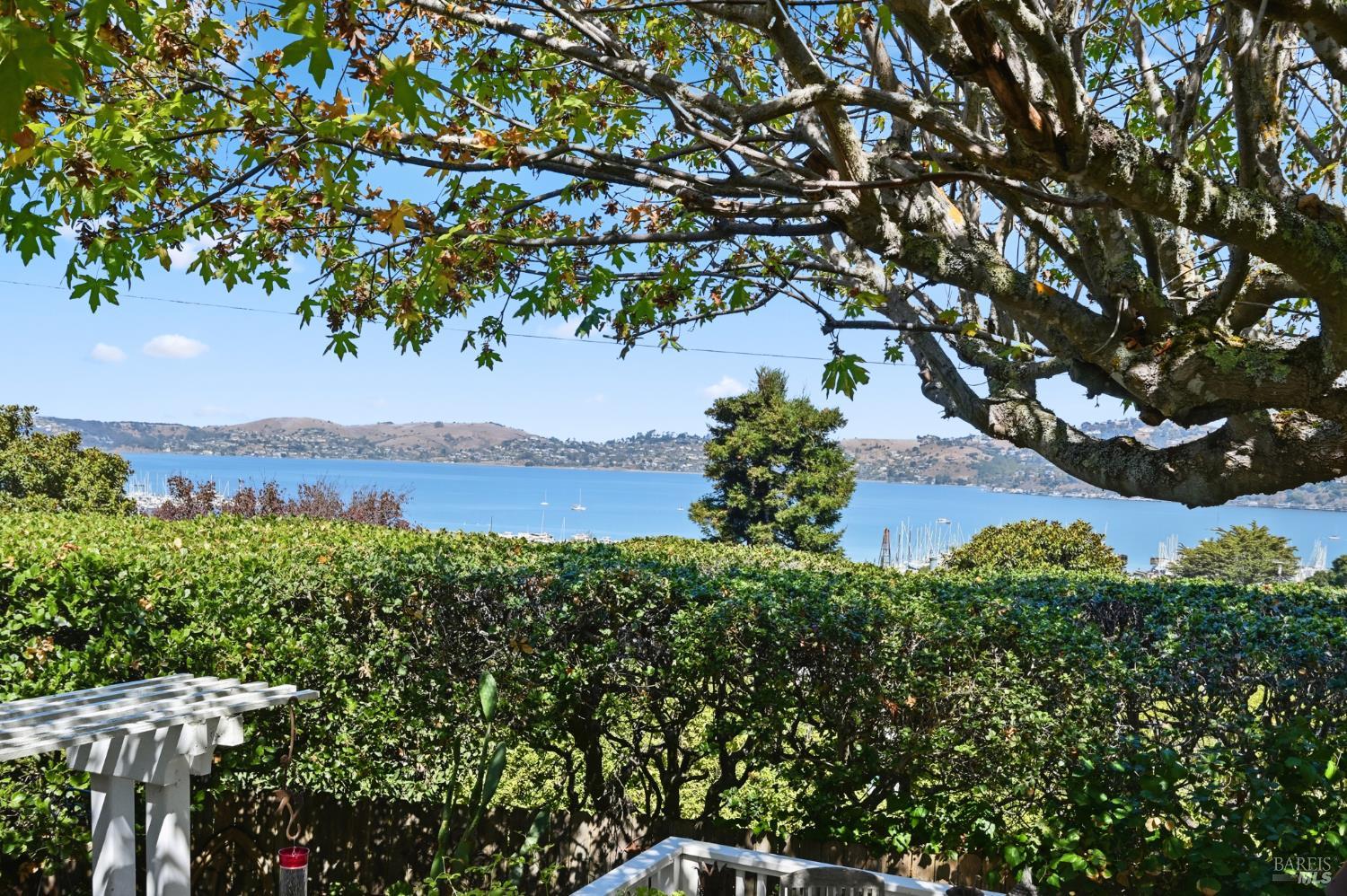 3 Rose Court Sausalito CA 94965