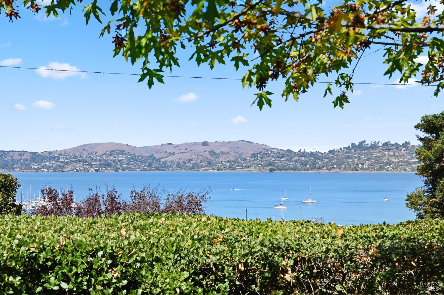 3 Rose Court Sausalito CA 94965