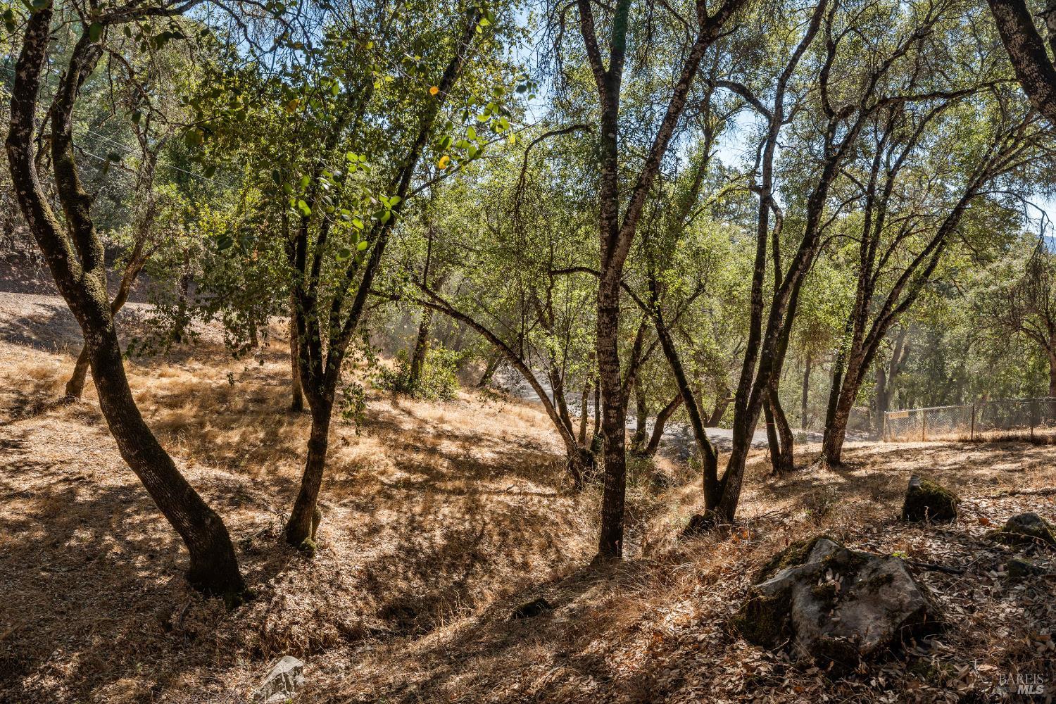 888 Watson Road Ukiah CA 95482