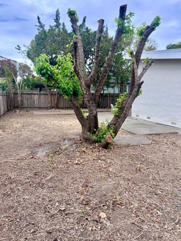 604 Vendola Street San Rafael CA 94903