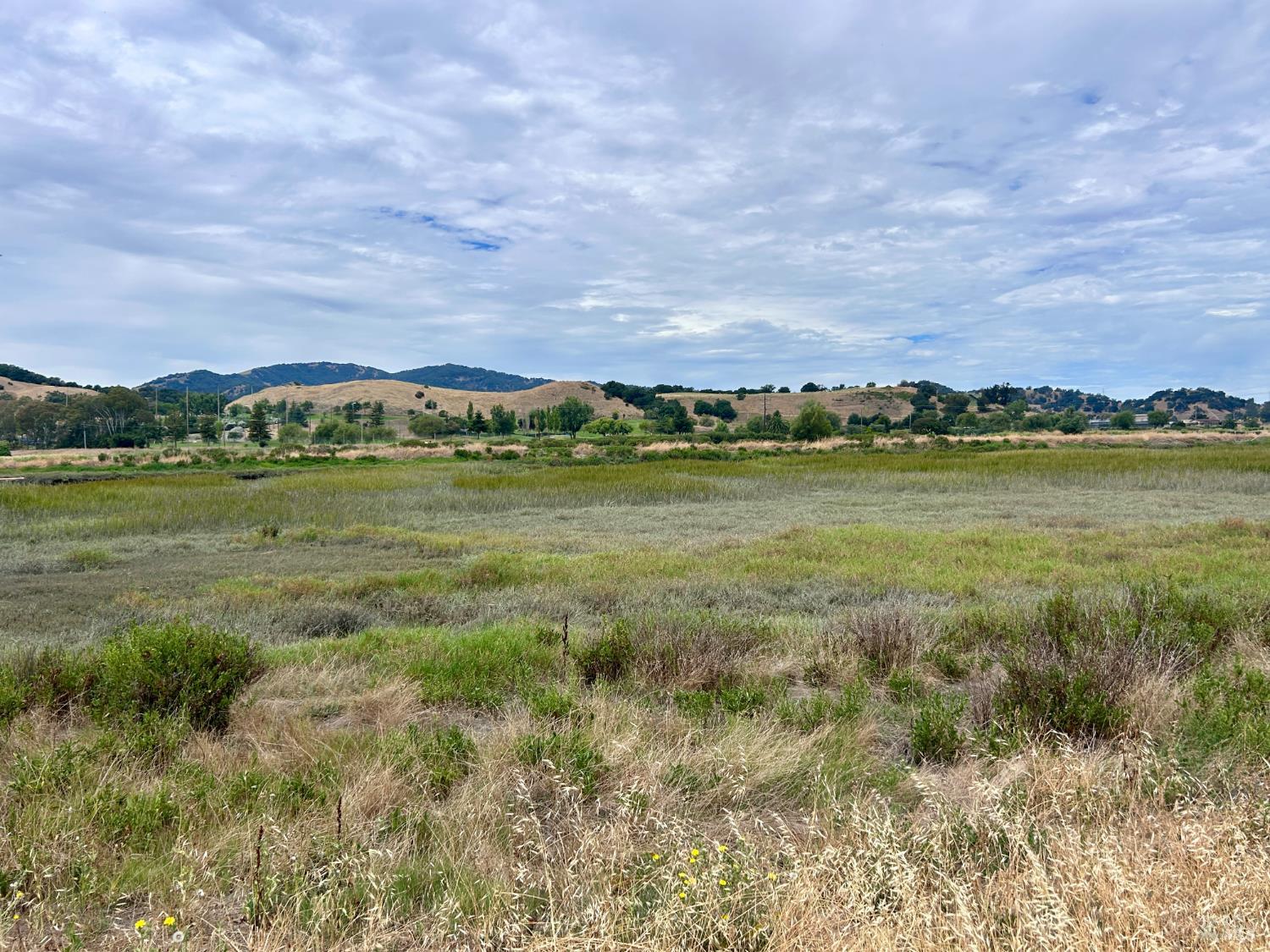 604 Vendola Street San Rafael CA 94903