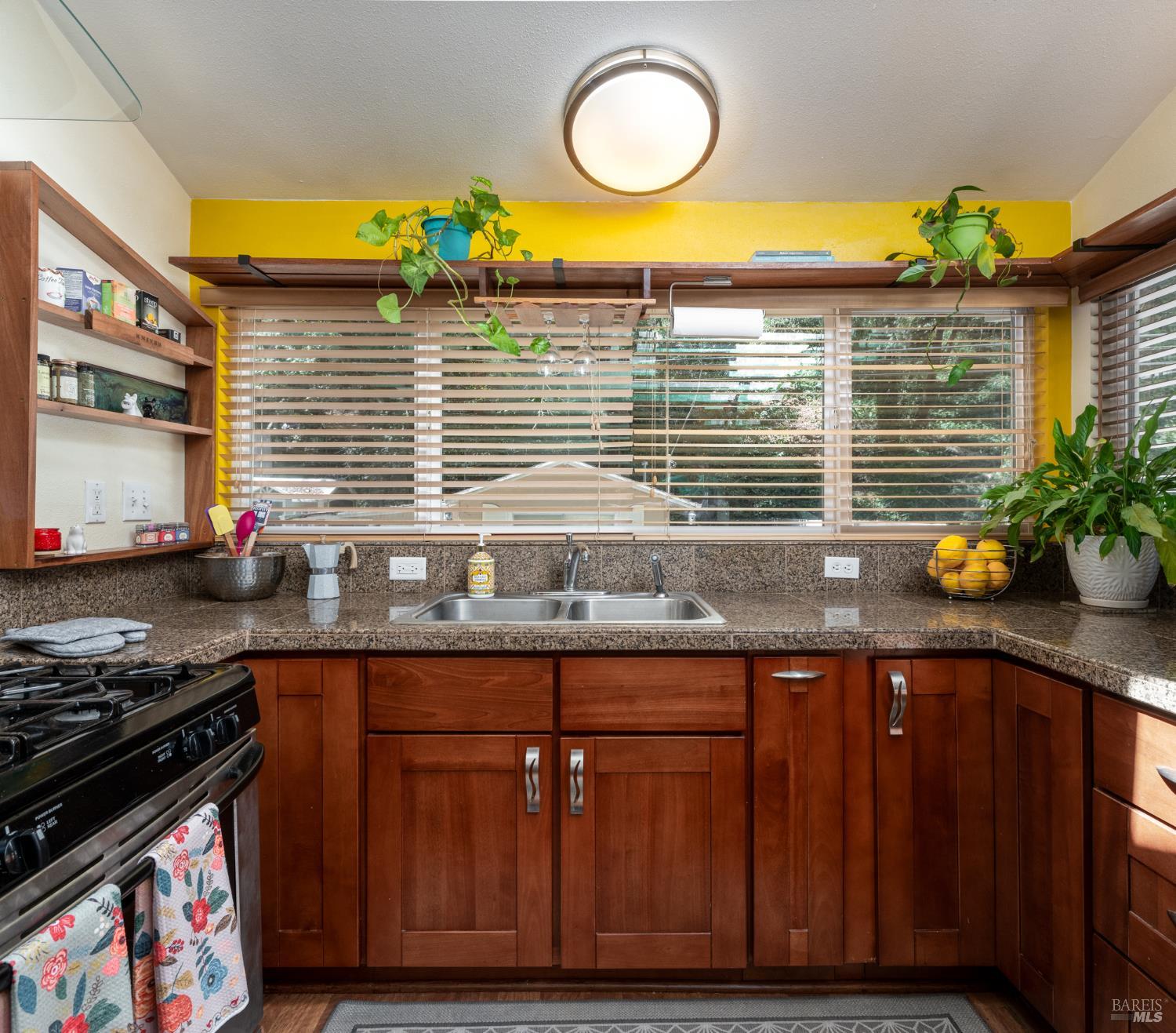 9195 Rio Dell Court Forestville CA 95436