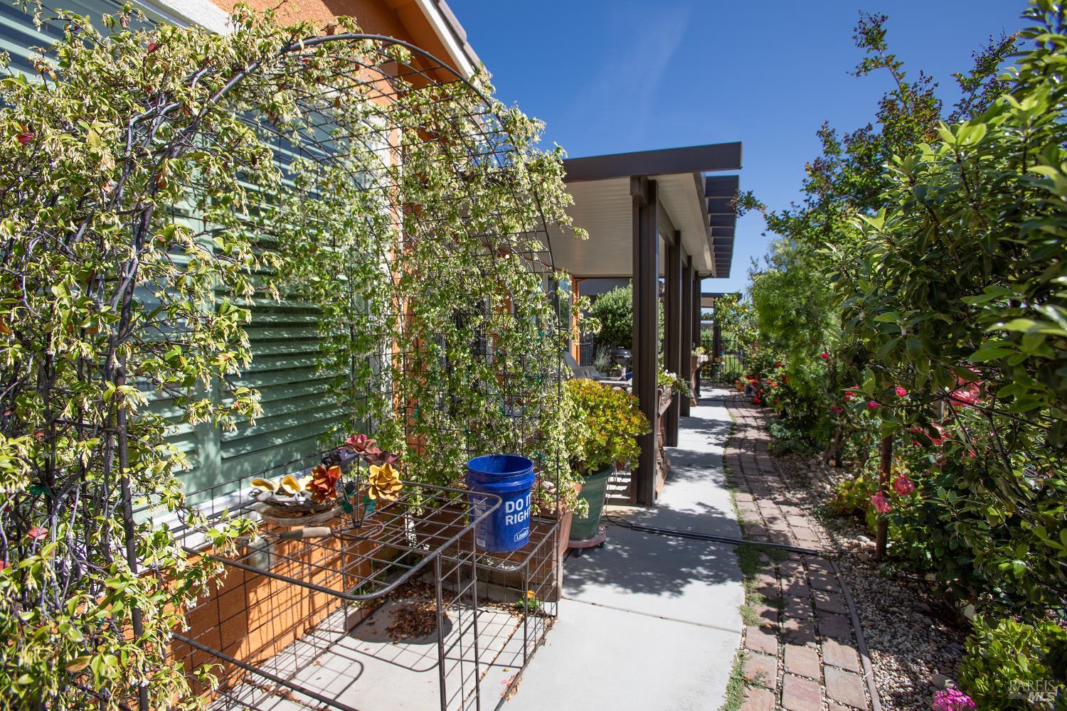 239 Harvest Hills Lane Rio Vista CA 94571