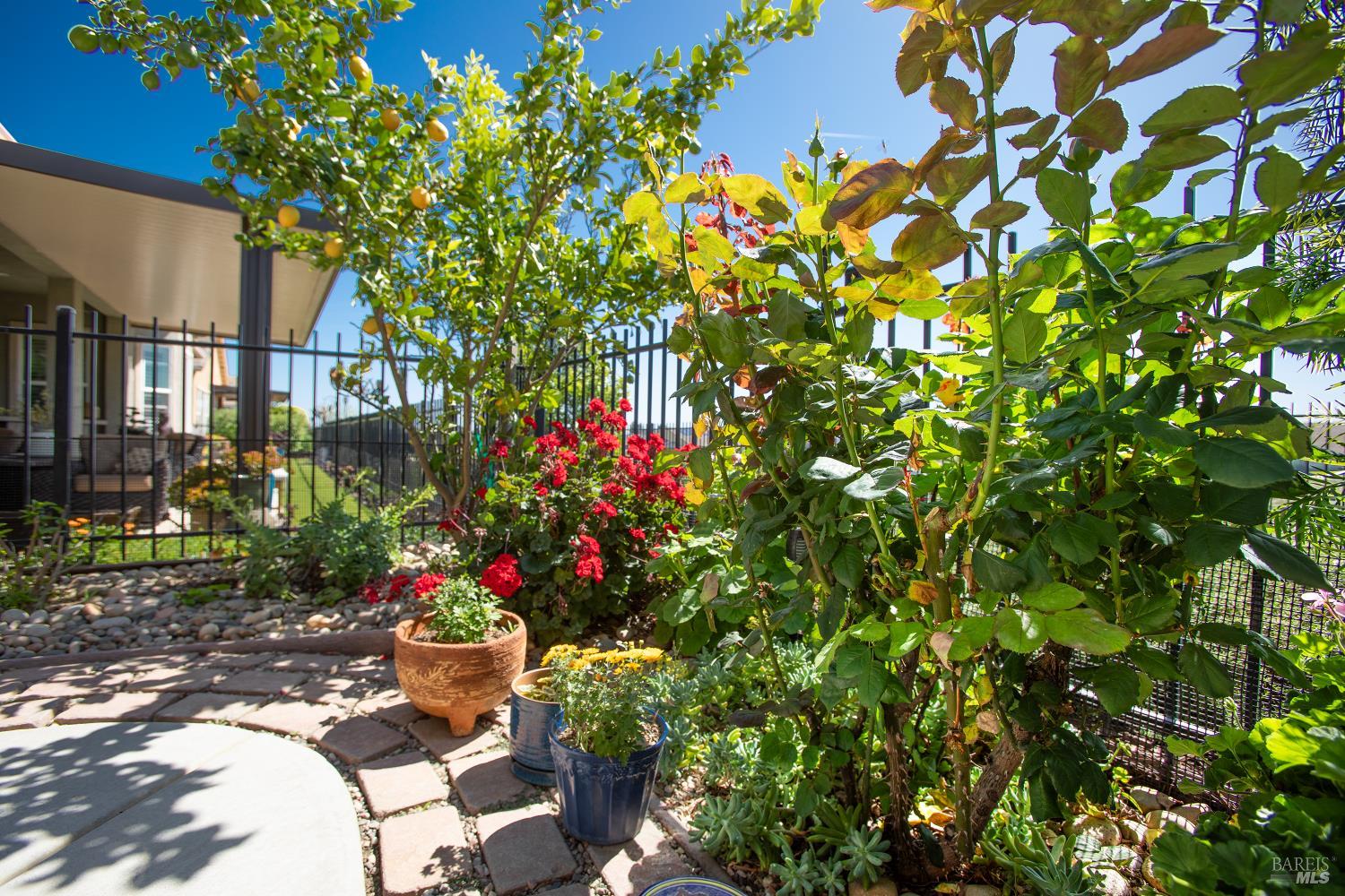 239 Harvest Hills Lane Rio Vista CA 94571