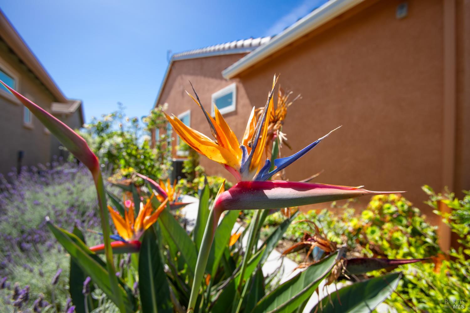 239 Harvest Hills Lane Rio Vista CA 94571