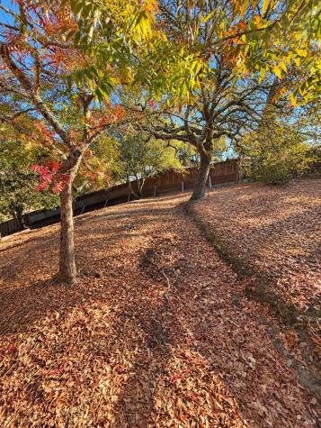1 Green Point Lane Novato CA 94945