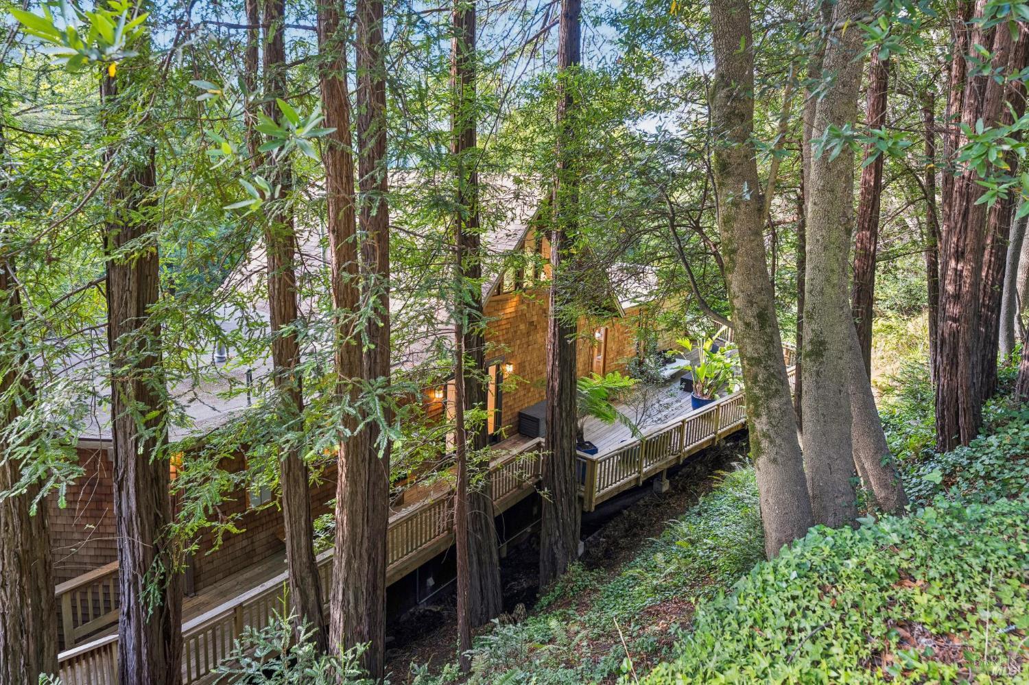 72 Cypress Avenue Mill Valley CA 94941