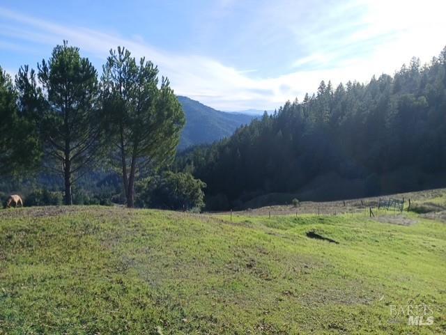 5700 High Point Road Willits CA 95490
