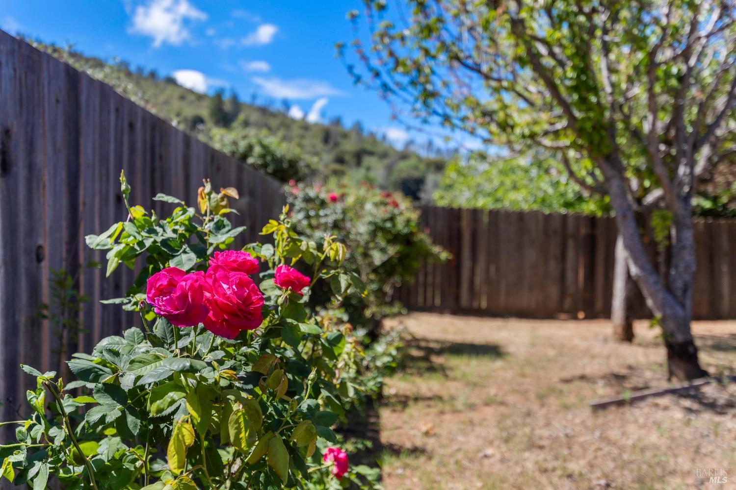 7539 Evergreen Drive Kelseyville CA 95451