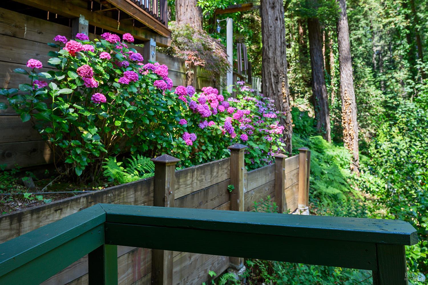 21567 Monte Vista Terrace Monte Rio CA 95462