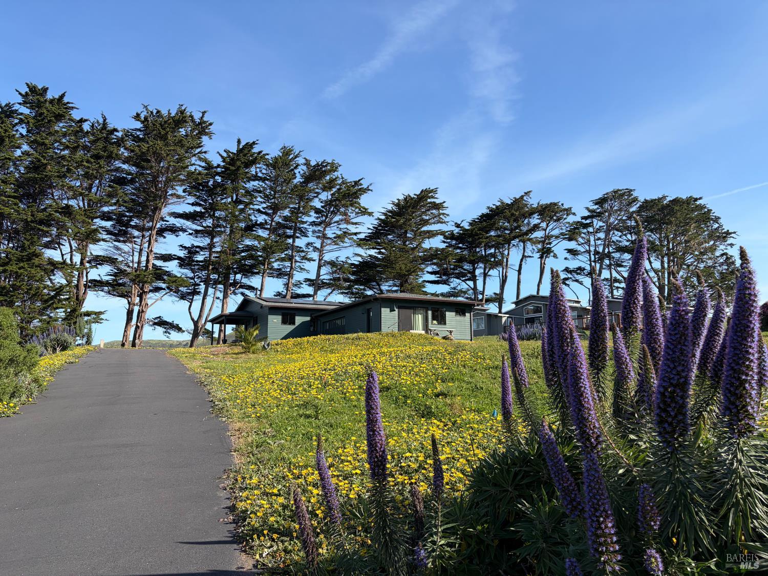 209 Calle Del Sol Bodega Bay CA 94923