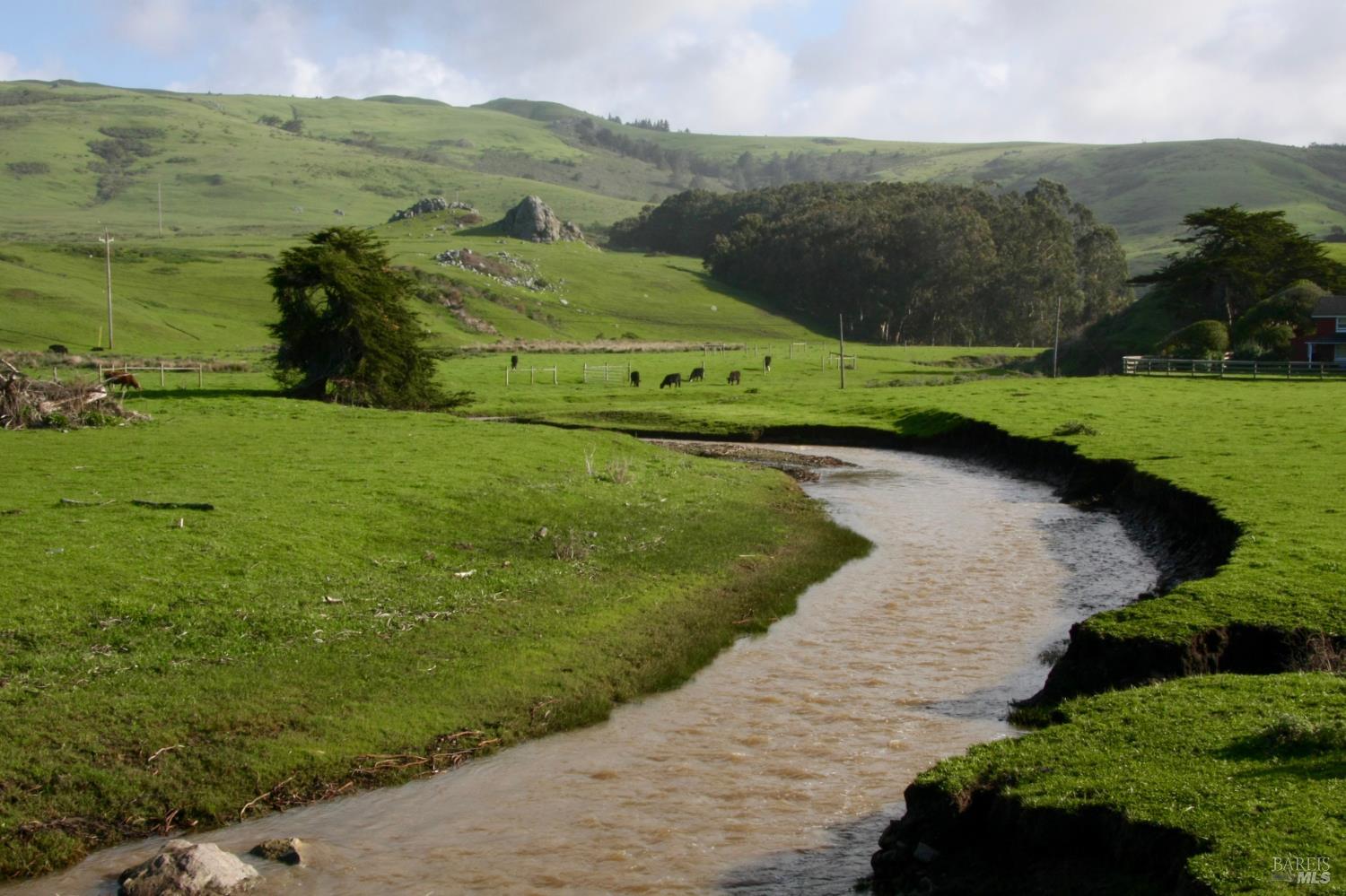 209 Calle Del Sol Bodega Bay CA 94923