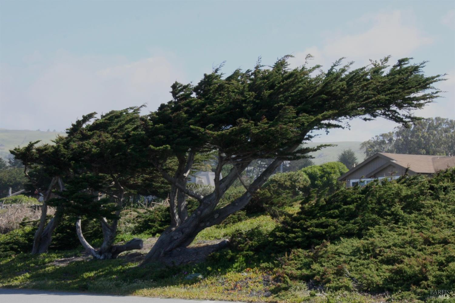 209 Calle Del Sol Bodega Bay CA 94923