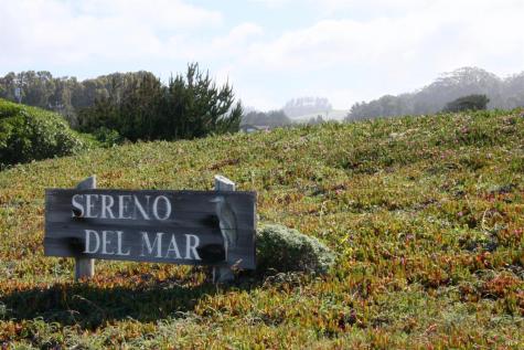 209 Calle Del Sol Bodega Bay CA 94923