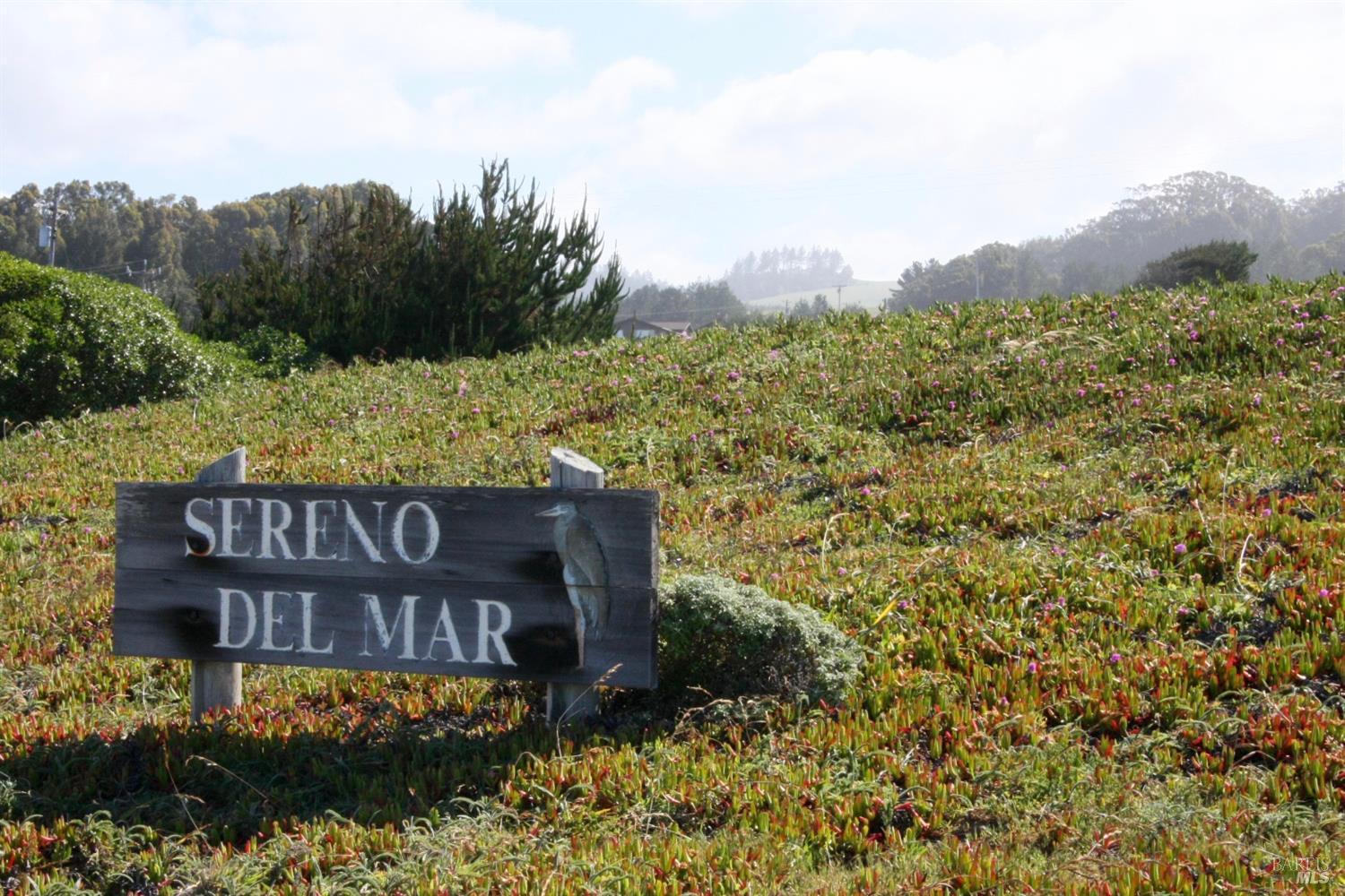 209 Calle Del Sol Bodega Bay CA 94923
