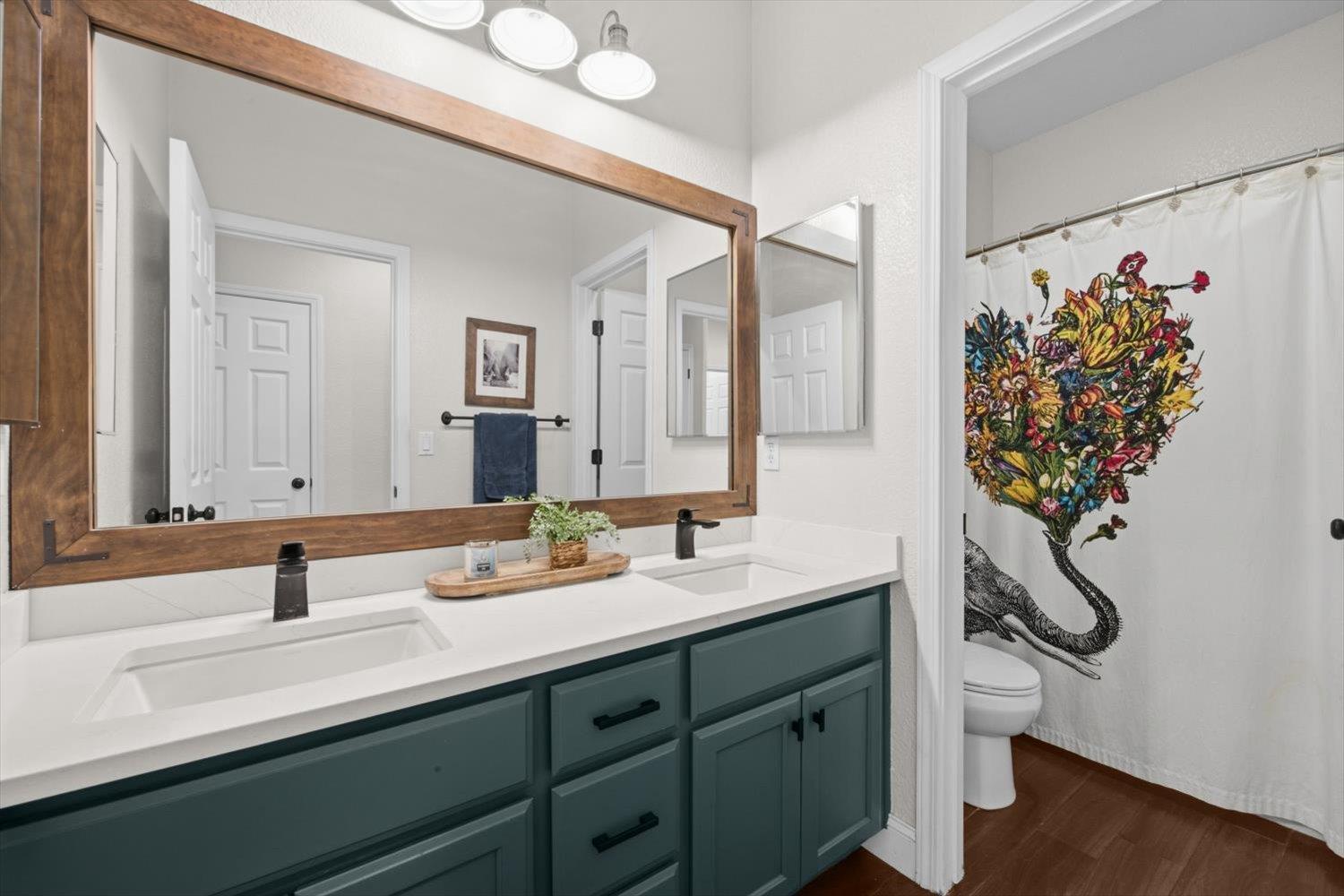 608 Snapdragon Street Winters CA 95694