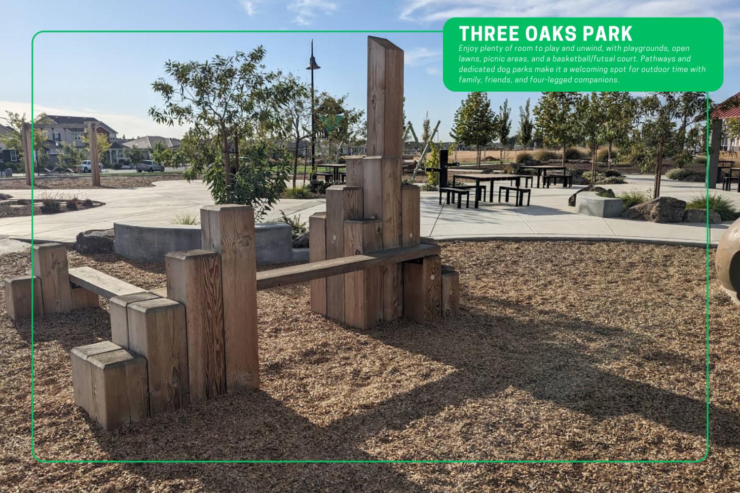 608 Snapdragon Street Winters CA 95694