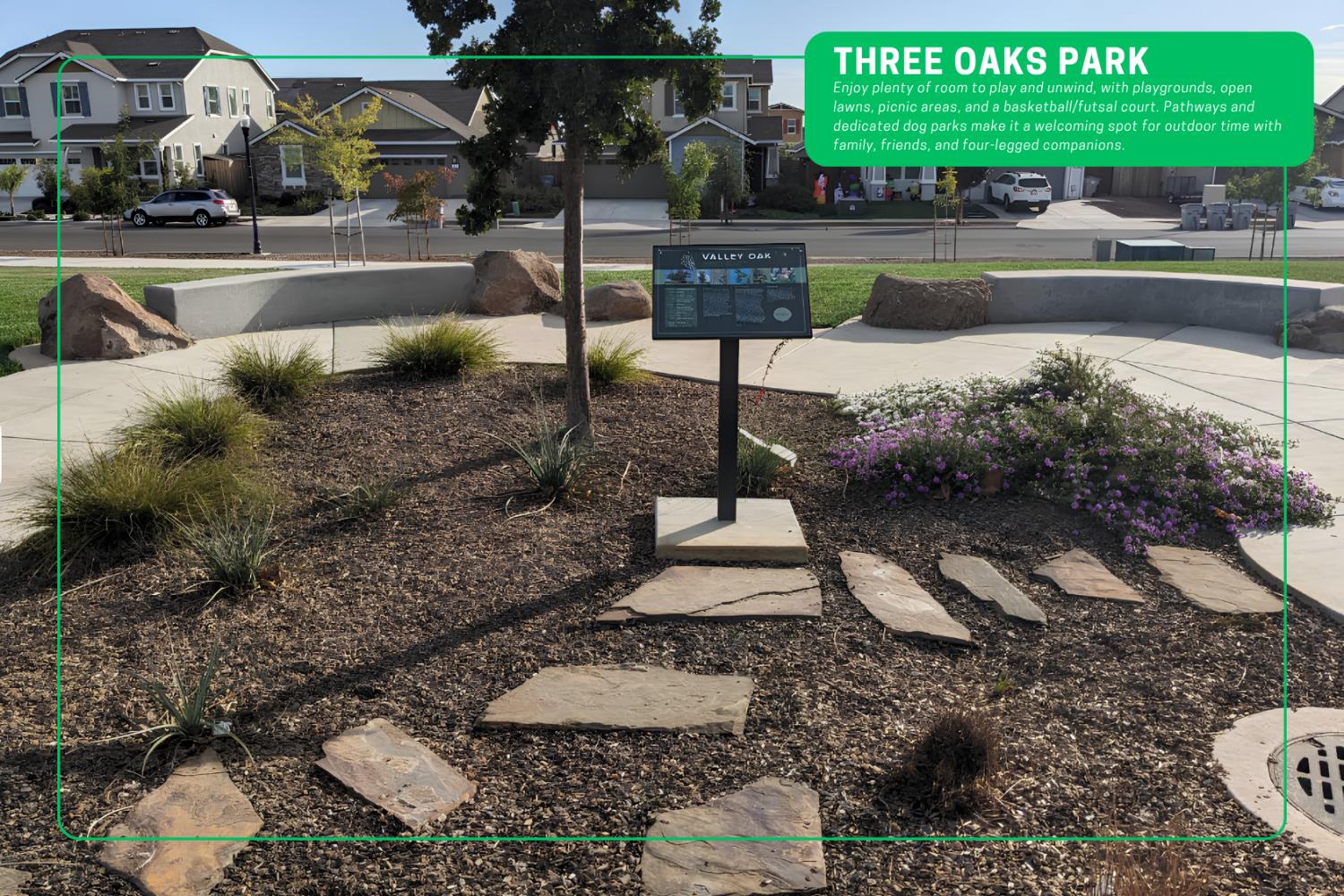 608 Snapdragon Street Winters CA 95694