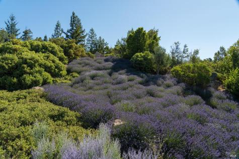 2947 Cavedale Road Glen Ellen CA 95442