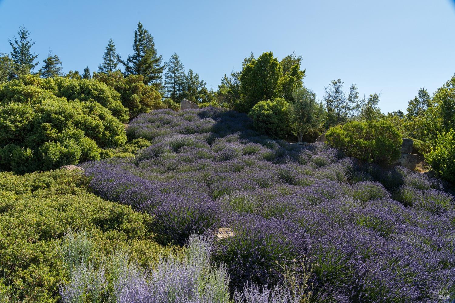 2947 Cavedale Road Glen Ellen CA 95442