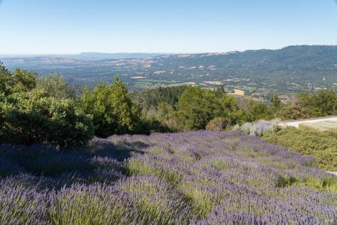 2947 Cavedale Road Glen Ellen CA 95442