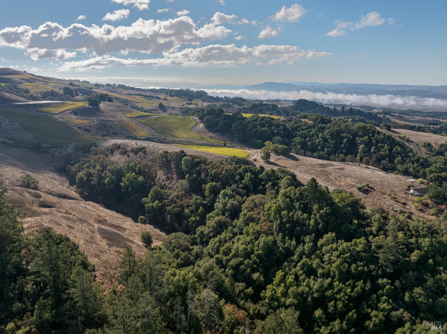 5025 Lichau Road Penngrove CA 94951