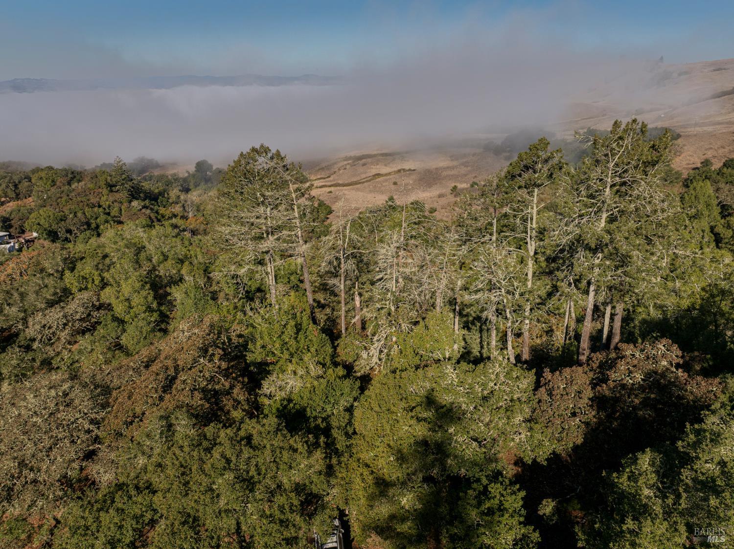 5025 Lichau Road Penngrove CA 94951