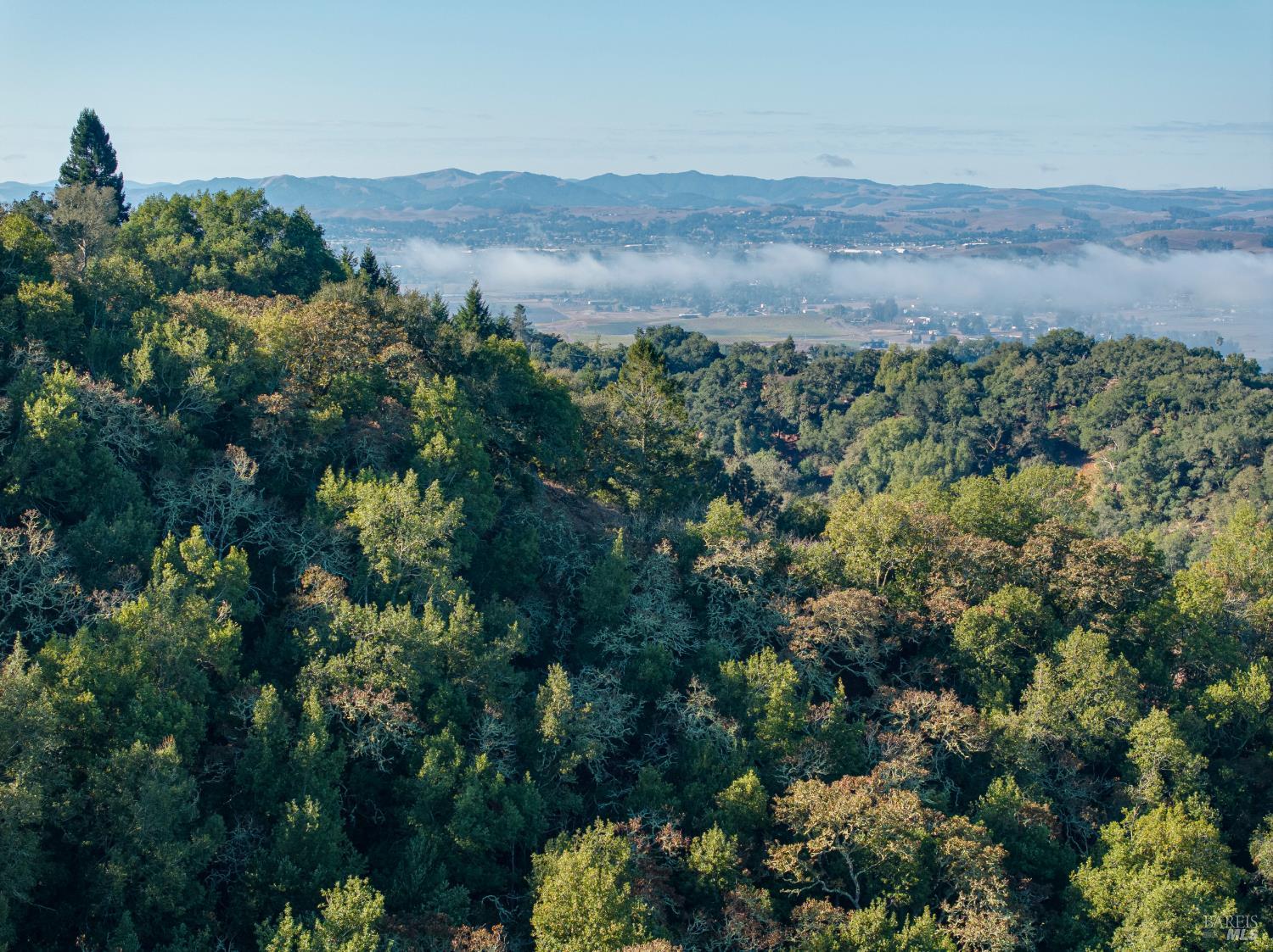 5025 Lichau Road Penngrove CA 94951