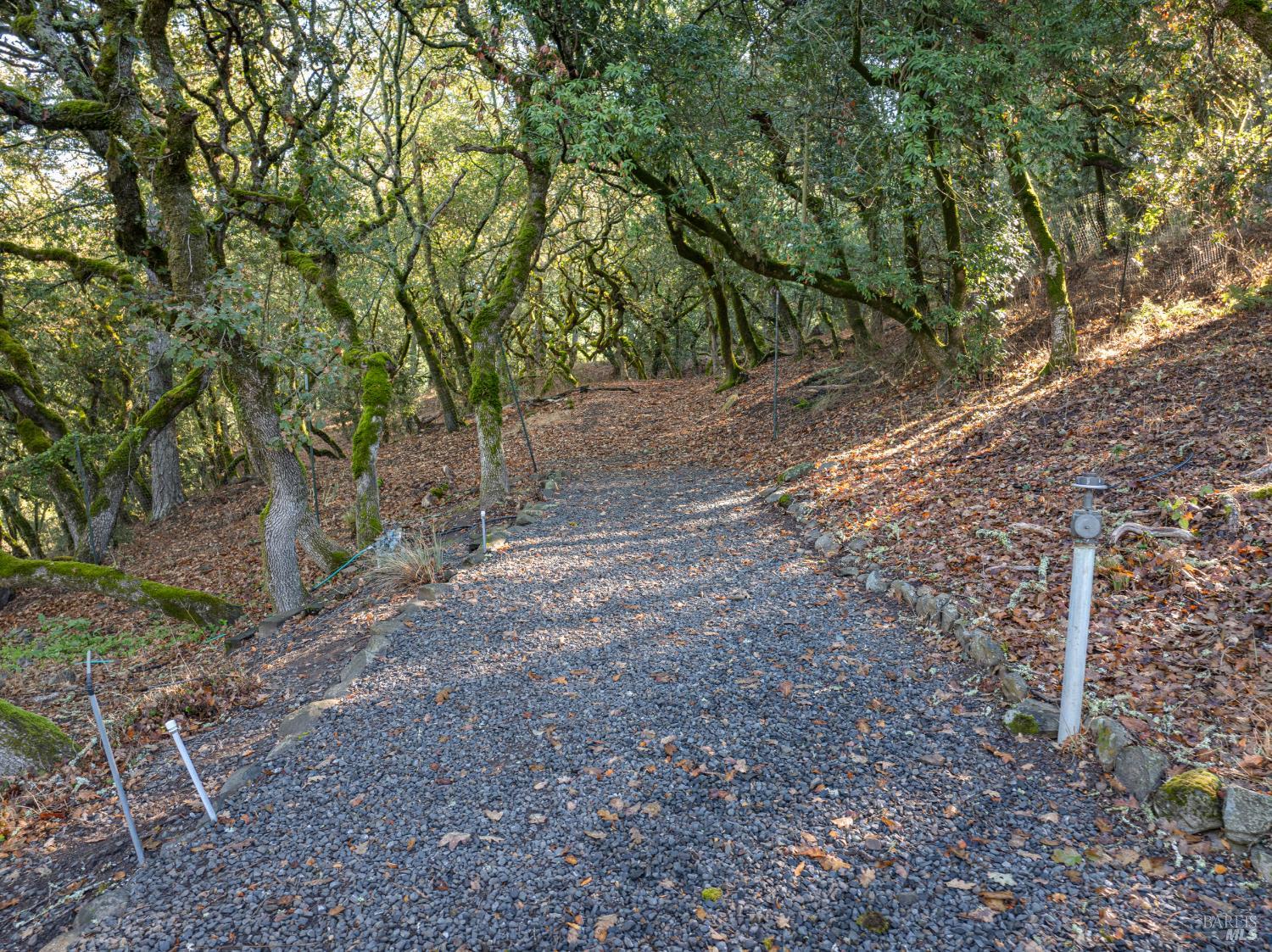 5025 Lichau Road Penngrove CA 94951