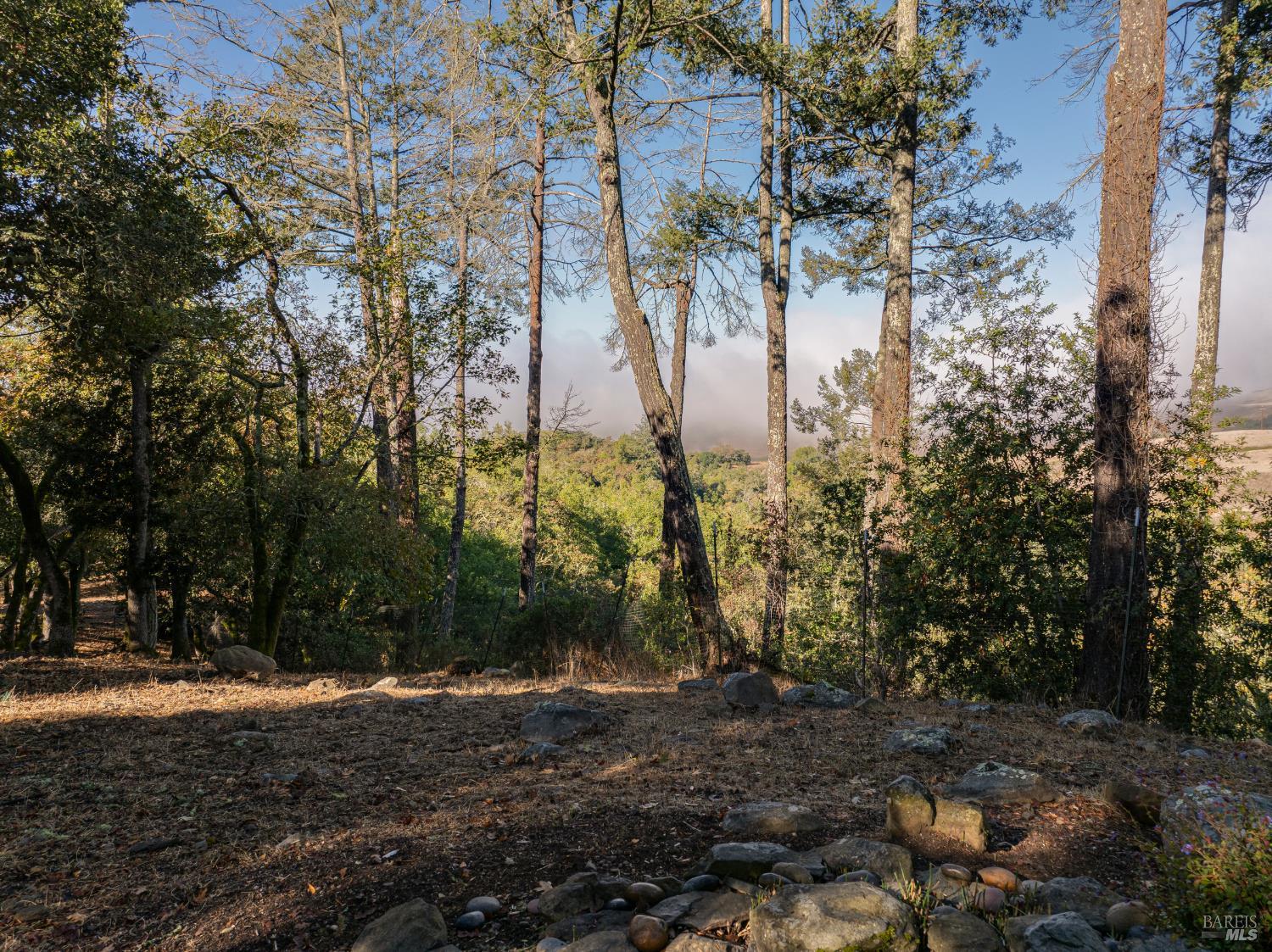 5025 Lichau Road Penngrove CA 94951