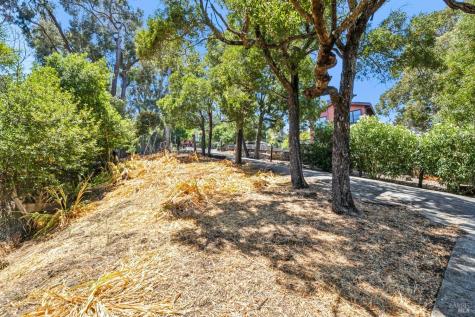280 Prospect Drive San Rafael CA 94901