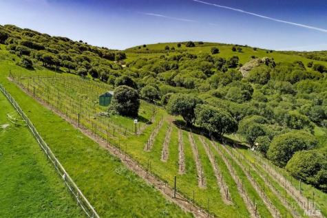 333-345 Willow Road Nicasio CA 94946