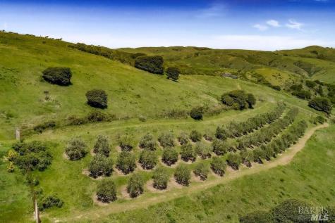 333-345 Willow Road Nicasio CA 94946