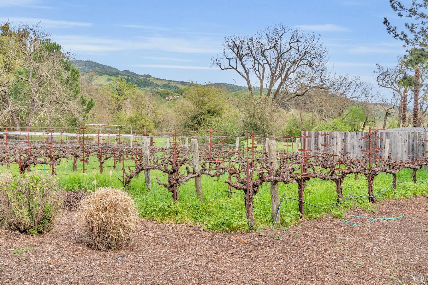 8854 Egg Farm Lane Kenwood CA 95452