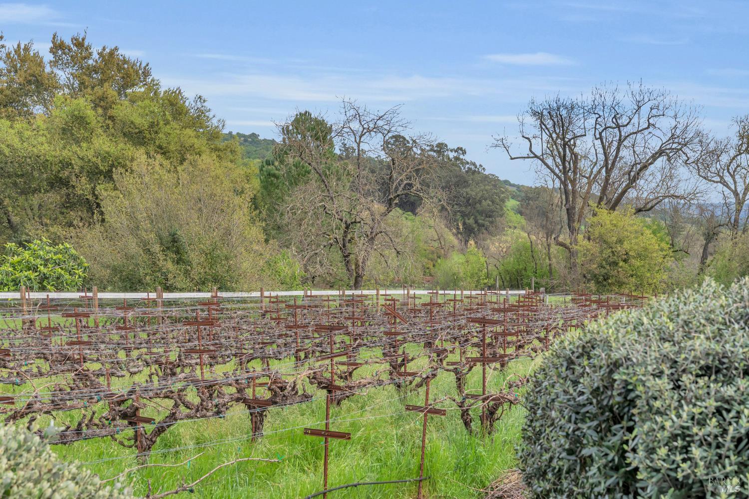 8854 Egg Farm Lane Kenwood CA 95452