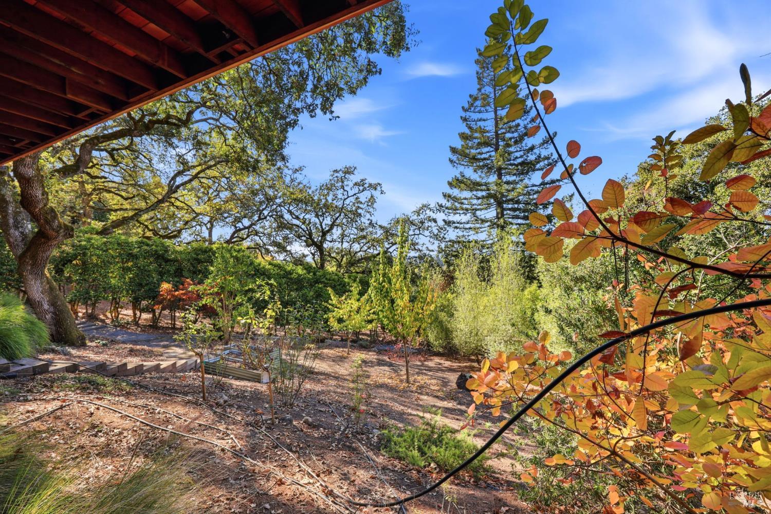 3465 Ridgeview Drive Santa Rosa CA 95404