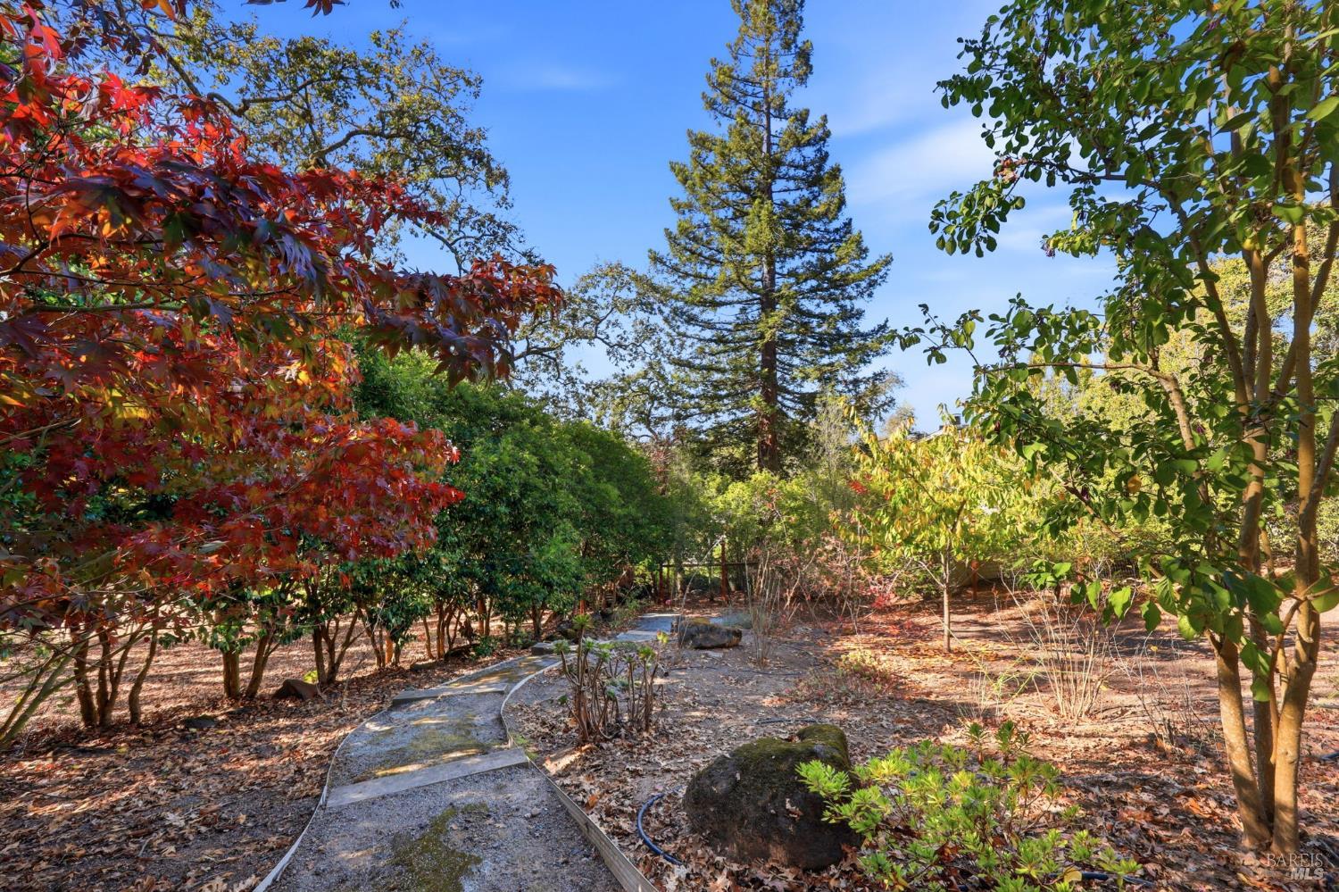 3465 Ridgeview Drive Santa Rosa CA 95404