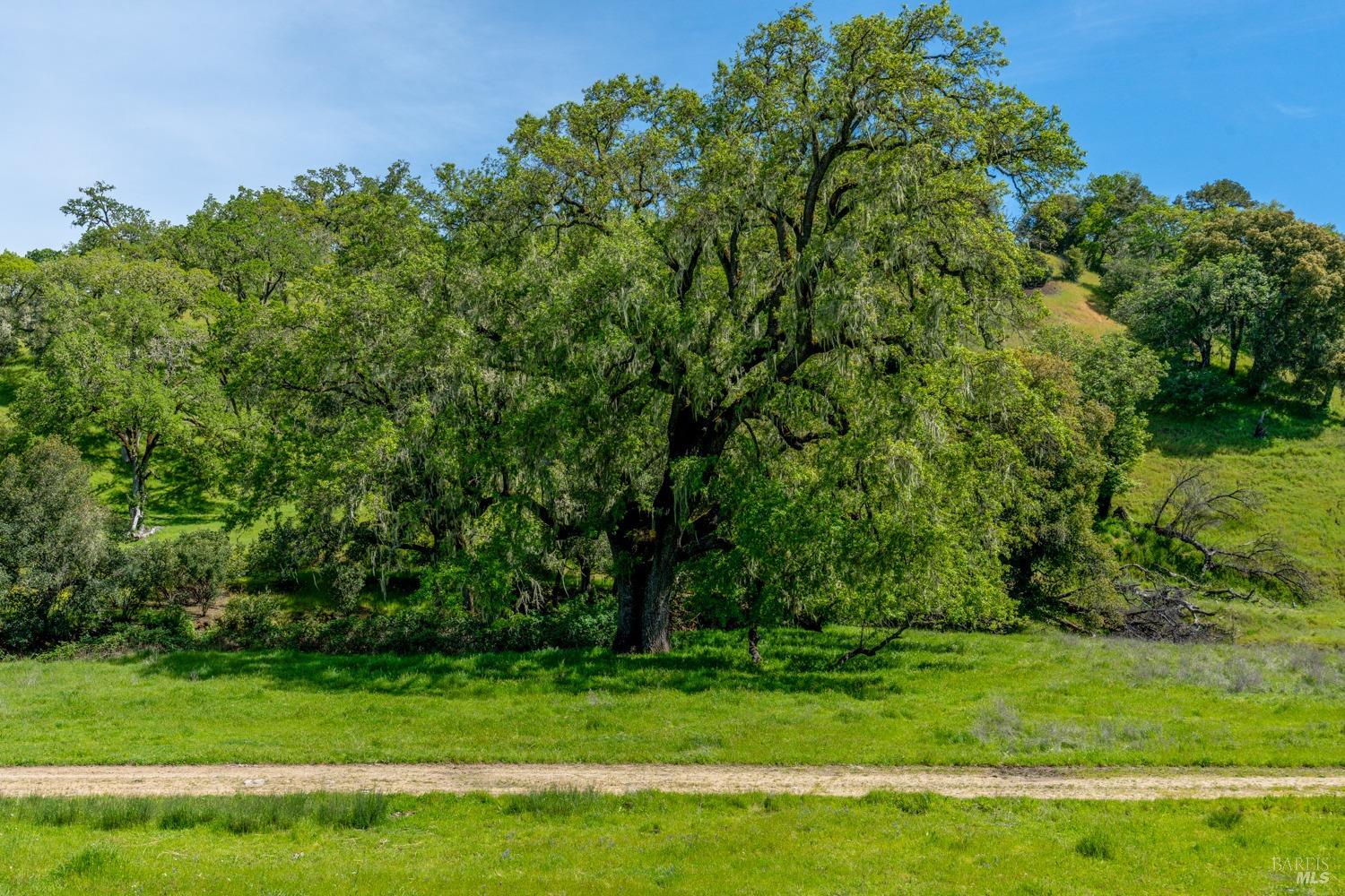 14495 Old River Road Hopland CA 95449