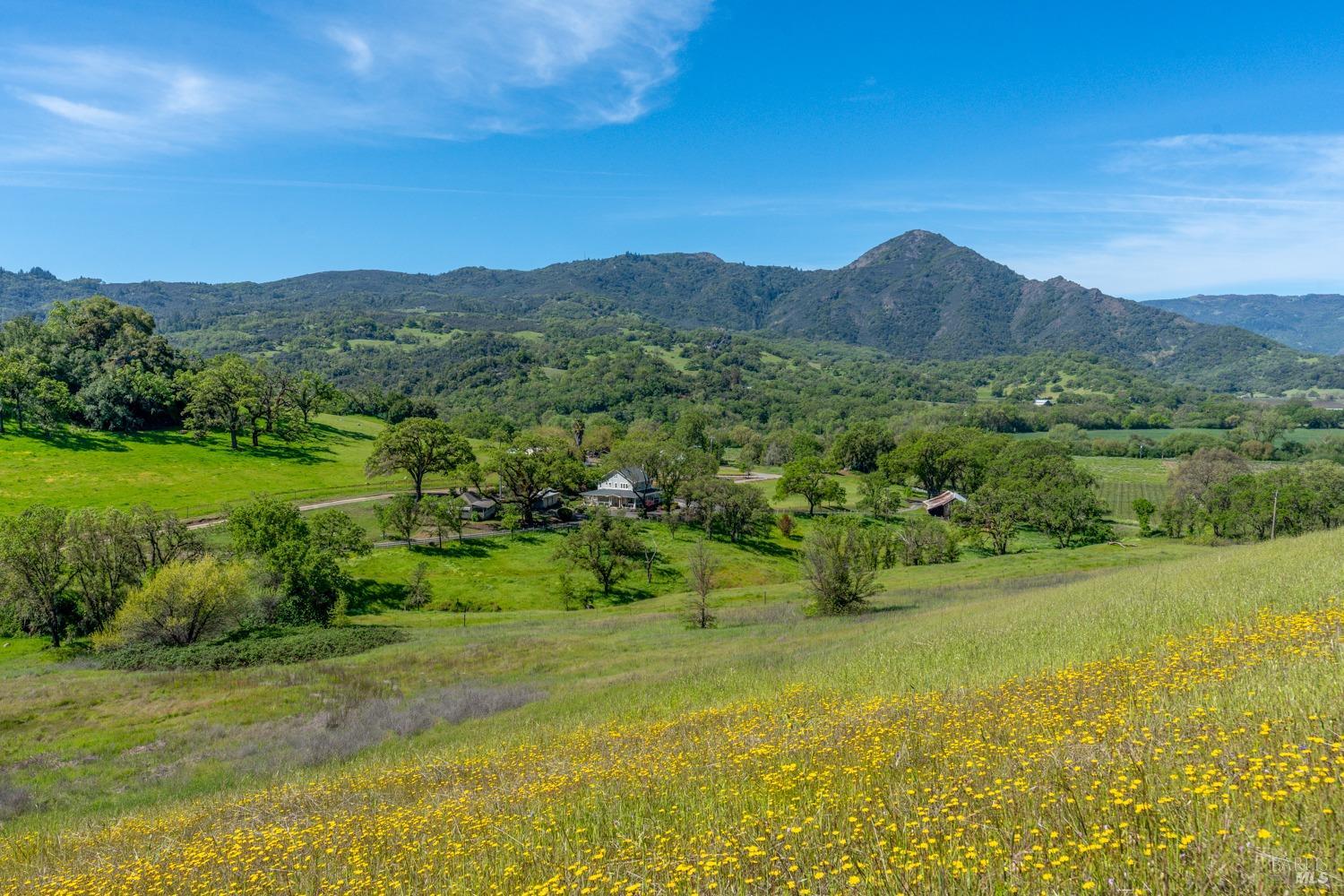 14495 Old River Road Hopland CA 95449