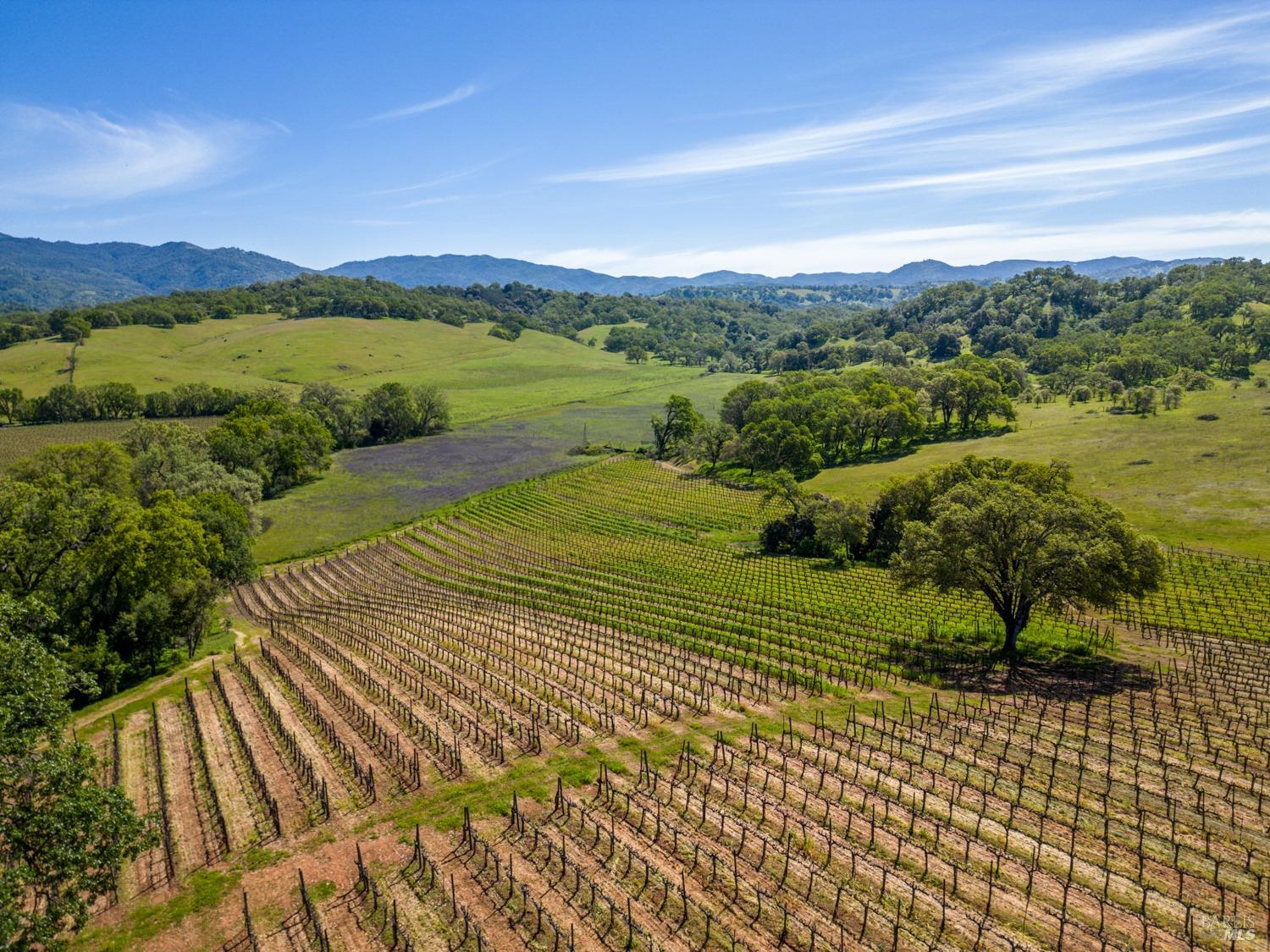 14495 Old River Road Hopland CA 95449