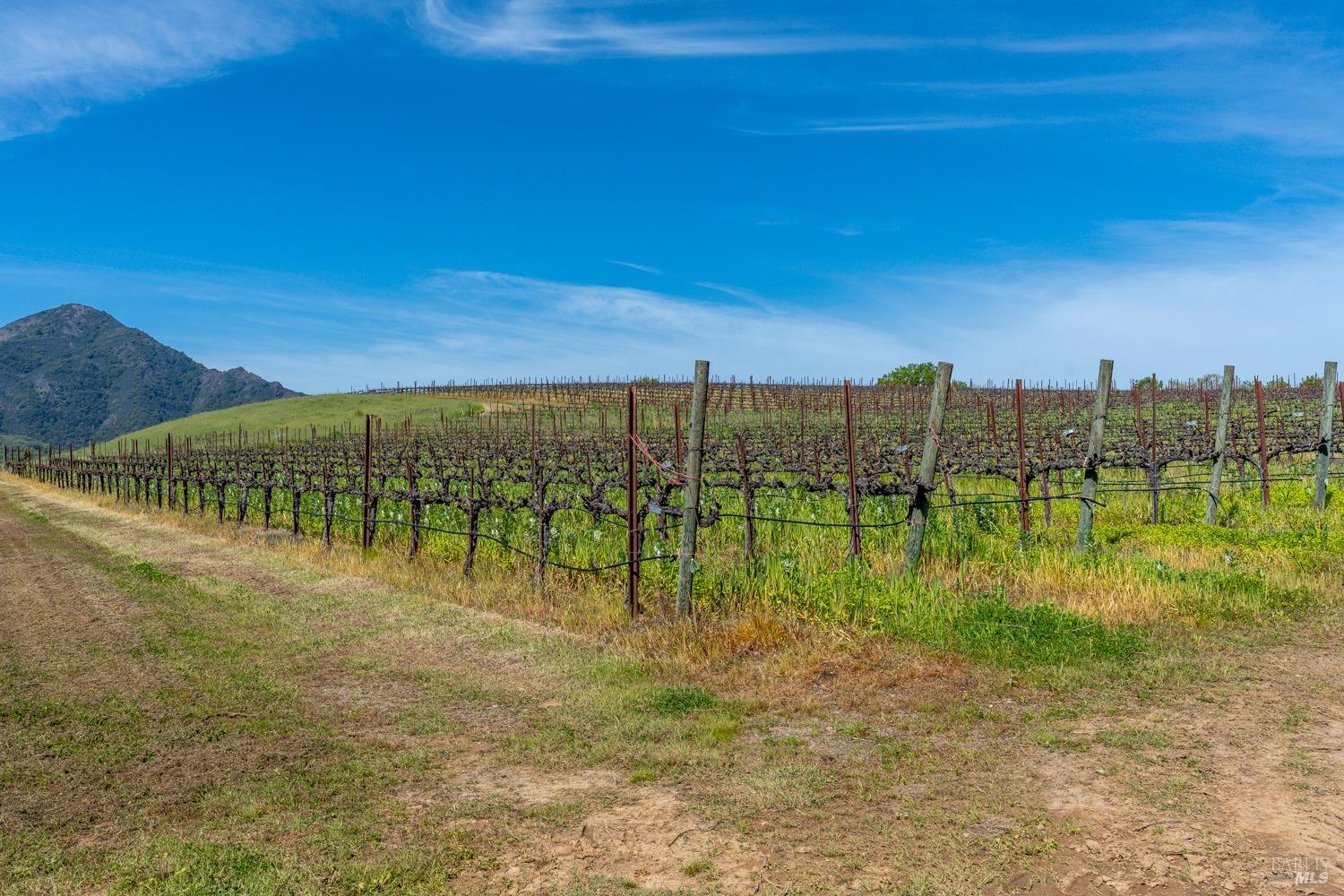 14495 Old River Road Hopland CA 95449