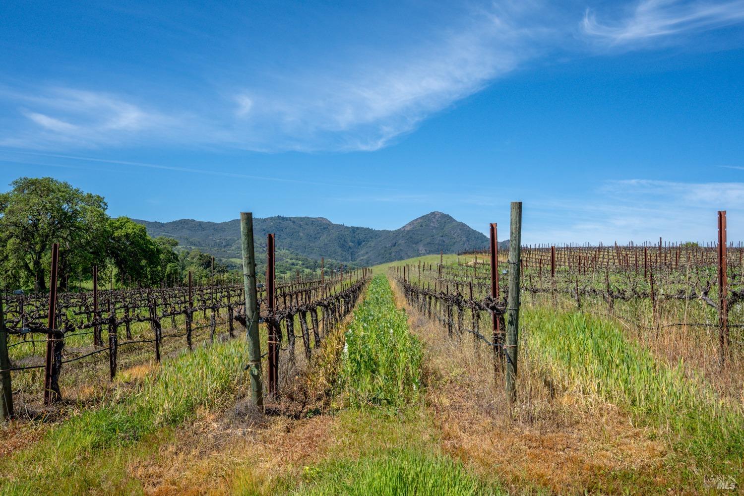 14495 Old River Road Hopland CA 95449