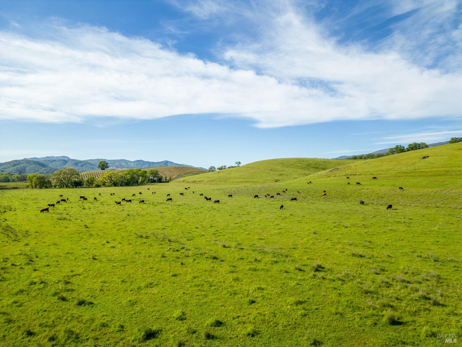 14495 Old River Road Hopland CA 95449